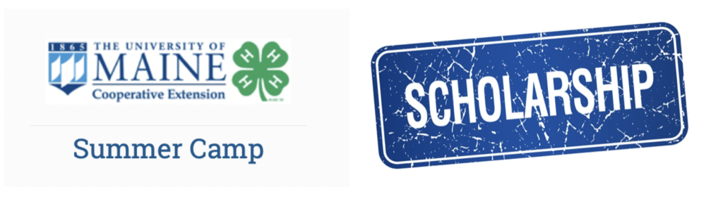 BP4H Scholarship